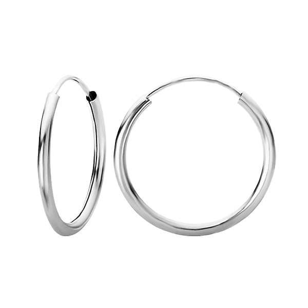 Ladies Fashion Hoop Earrings